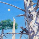 Old Home for the Birds