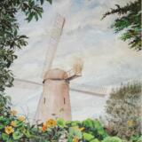 Windmill San Francisco