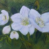 White Blossoms in Greenery