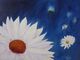 Simply Daisies