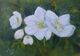 White Blossoms in Greenery