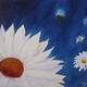 Simply Daisies