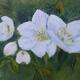 White Blossoms in Greenery