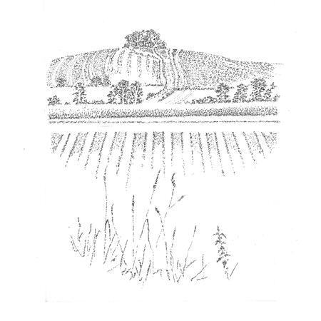   Wiltshire Landscape II