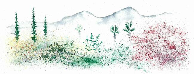 Towards the Atlas Mountains 