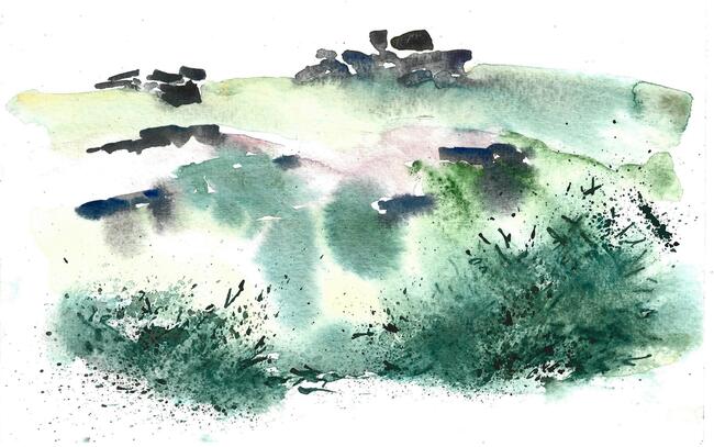 Dartmoor 