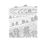  Wiltshire Landscape I