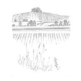   Wiltshire Landscape II