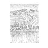 Wiltshire Landscape  V