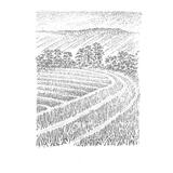 Wiltshire Landscape  IV