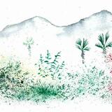 Towards the Atlas Mountains 