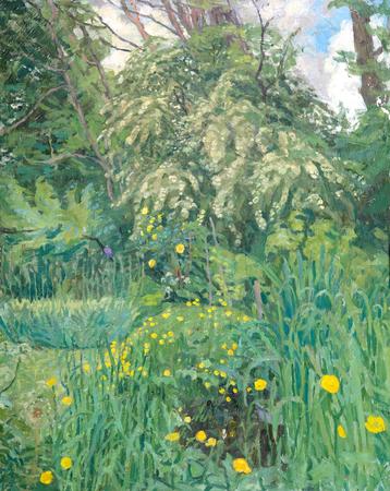 May tree and buttercups