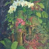 Orchid