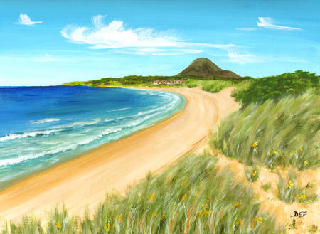 North Berwick Law from Yellowcraigs Beach