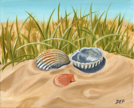 Seashells in the Sand