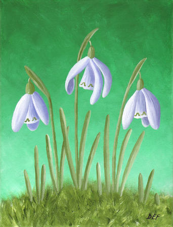Three Snowdrops in Grass
