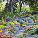 A walk in the rockery