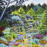 Steps down to the rockery