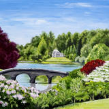 Rhododendrons at Stourhead