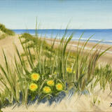 Dandelions in the Dunes