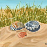 Seashells in the Sand