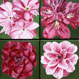 April Flowers in Pink and Red