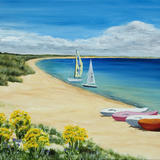 Boats on Studland Bay