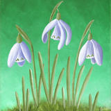 Three Snowdrops in Grass