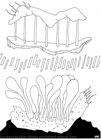 Wonders of Nature 1 - The Insect of the Perfect Day