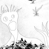 Wonders of Nature 5 - The Corralejo Ghost