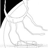 The Room had Resumed its Strange Magic