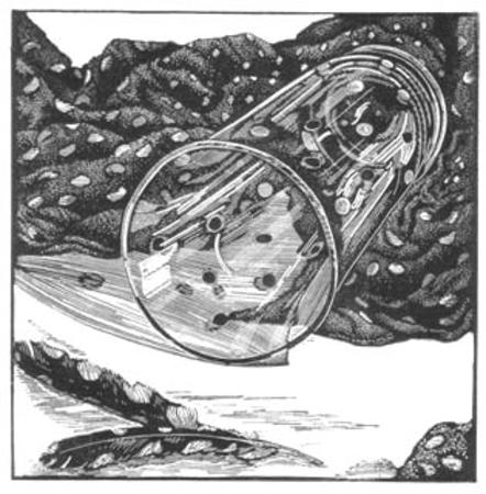 still-life-with-spots