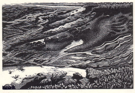 Erosion  by Beverley White