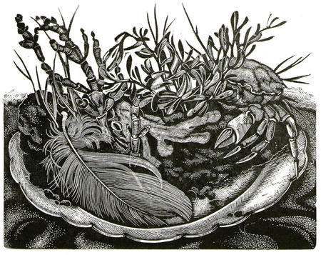 'Estuary Slice - Recipe No.1'