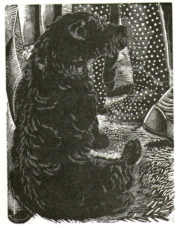 'Anything Could Happen'