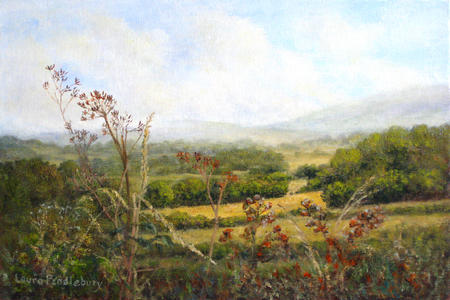 Hedgerows and Hayfields