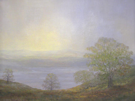 Sycamores & Hawthorn