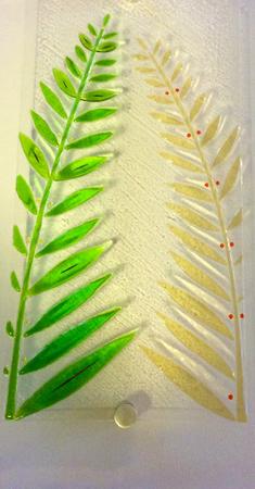 Ferns mounted on wood