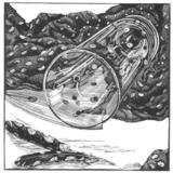 still-life-with-spots