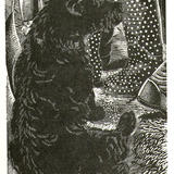 'Anything Could Happen'