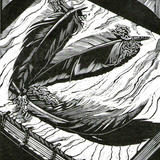 Heron Feathers Brought to Book