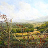 Hedgerows and Hayfields