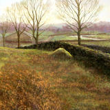 Across the river, Staveley Mill