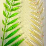 Ferns mounted on wood