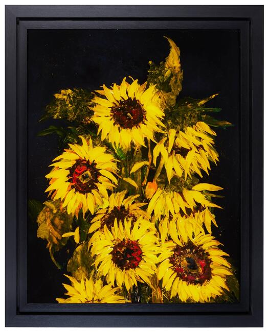 SUNFLOWERS D362