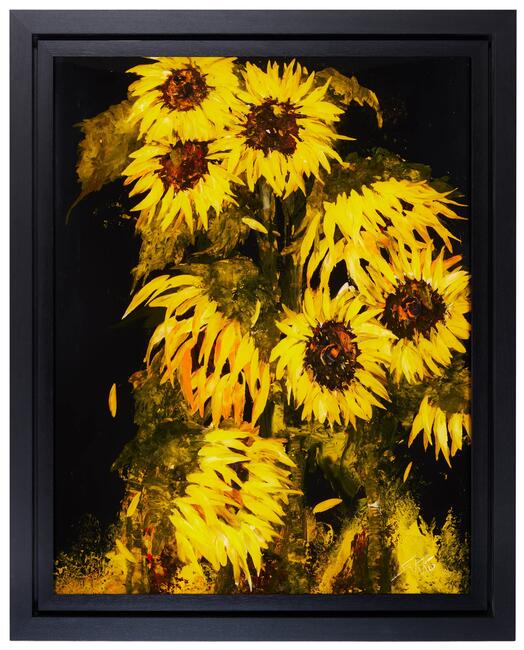 sunflowers D361