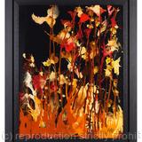 FLOWERS ON MY ALLOTMENT!