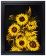 SUNFLOWERS D362