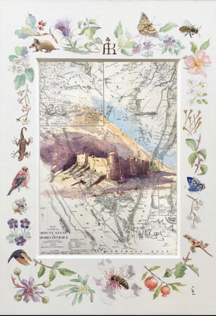 Flora & Fauna of Sinai