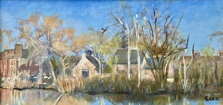 Barnes Pool - Reflections